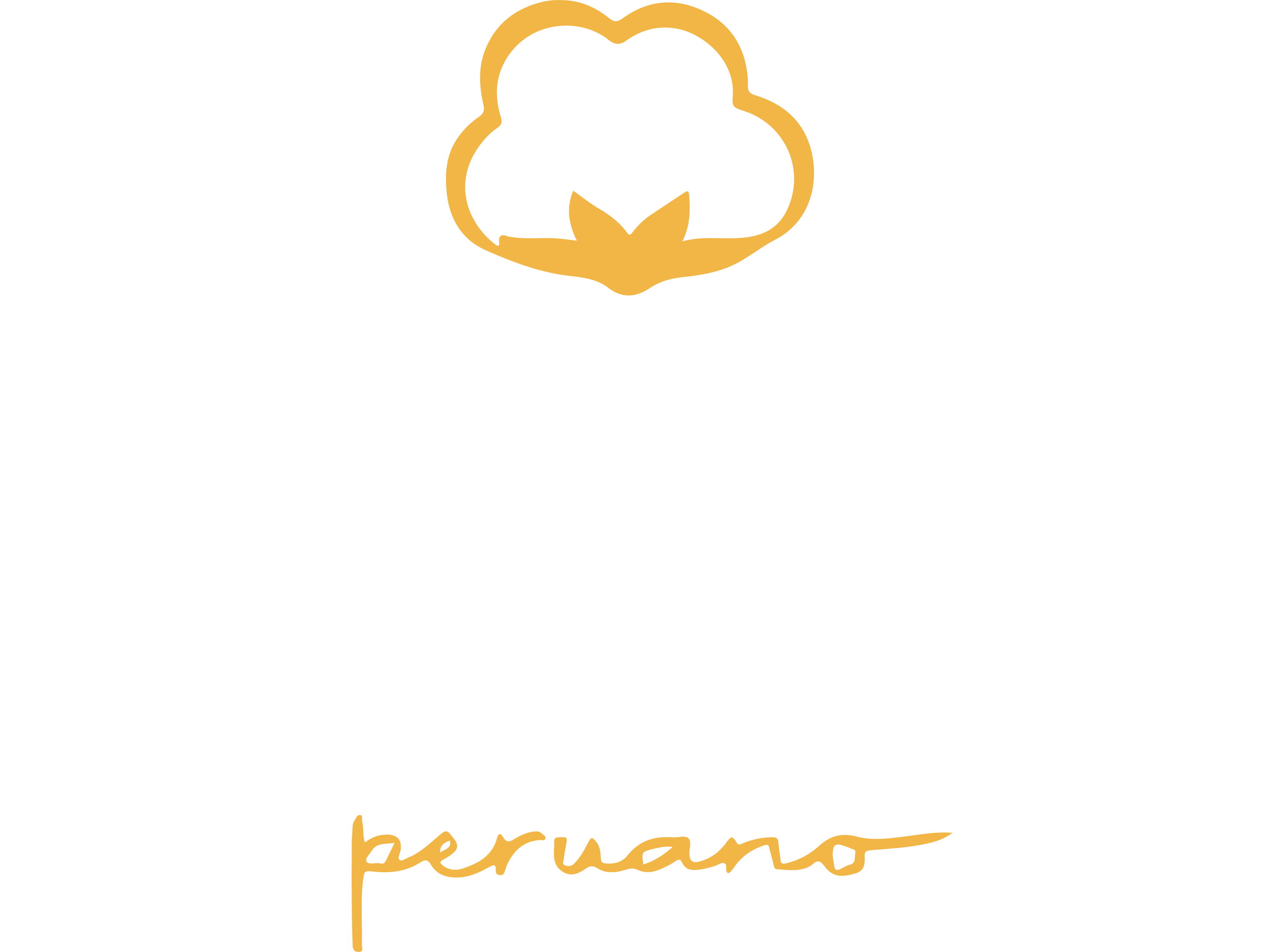 Pima Algodão Peruano